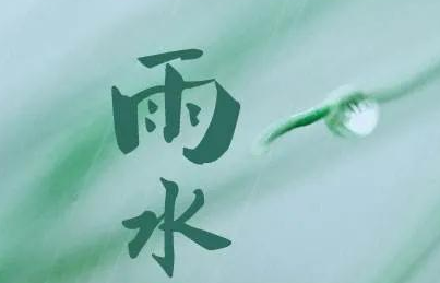 雨水文案手抄报内容（24节气雨水手抄报简单的内容）