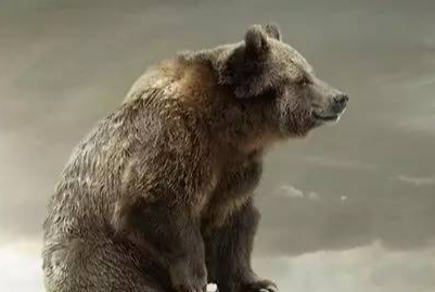 外国名人名言励志（50句最著名的励志名言）