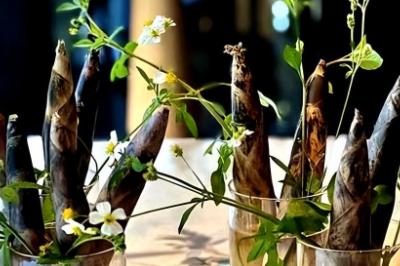 太阳花开餐饮有限公司（太阳花开餐饮的创始人）