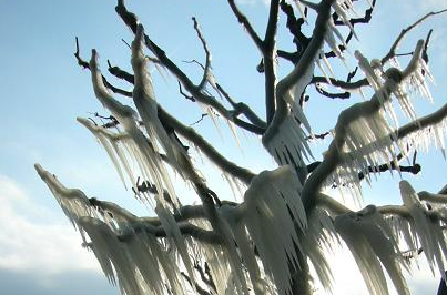 天气冷怎么发朋友圈早安语（天气冷了发朋友圈的句子）