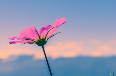 生活说说很现实的说说简短（生活现实说说感悟生活）