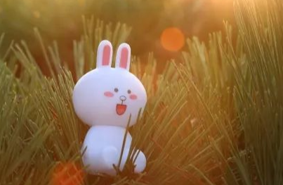 谦让的名言名句（孔子说的关于谦让的名言）