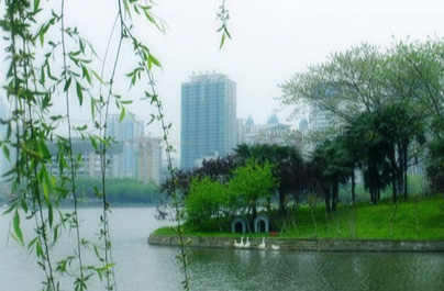 春晓古诗怎么写（春晓古诗全解）