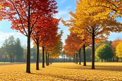 女人好好爱自己的句子说说心情（女人都要好好爱自己的句子）