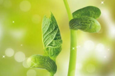 流逝的岁月感悟（女人感慨岁月变老的句子）