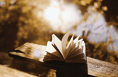 离歌饶雪漫番外（离歌3精装版马卓番外）