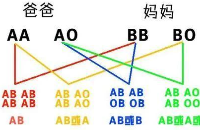 妈妈宝宝都是b型血,爸爸应该是什么血型（父母都是B型血,孩子可能是什么血型）